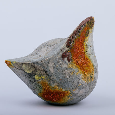 Lecanora Series 2022