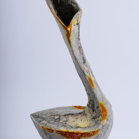 Lecanora Series 2022