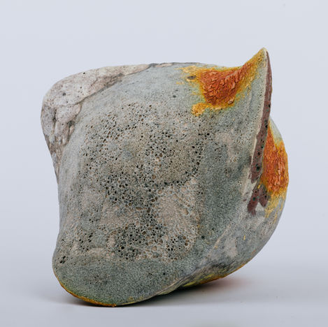 Lecanora Series 2022